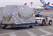 国際航空貨物輸送